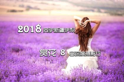 2018.7月20日起 新疆 赛里木湖—伊犁—夏特—喀拉峻花海—巴音布鲁克摄行8天