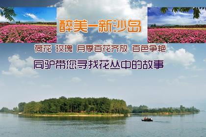 5月12日周六 醉美新沙岛 百花齐放 百色争艳 摄影 亲子单日游(特价60元/人)
