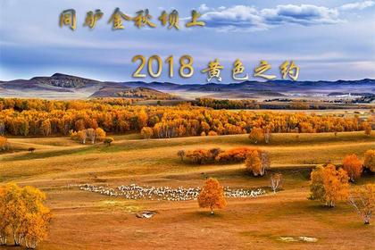 2018金秋坝上,黄色之约,万马奔腾 草原越野车跟拍 摄影主题6日游!3期