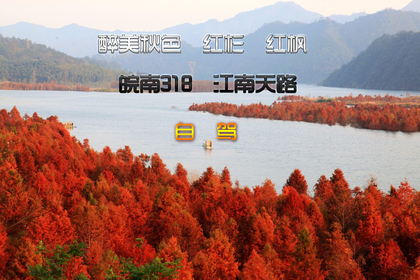 11月2-3日(周未)自驾摄影皖南318醉美秋色、红杉、红枫、红叶 “江南天路,川藏线 ”约起!(可拼车)