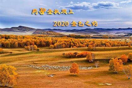 2020金秋坝上金色之约,越野车跟拍万马奔腾 草原 摄影主题6日游！2期