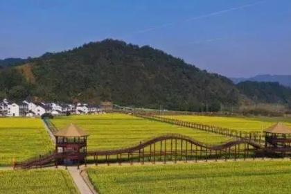 春天花事3月10日周四和14日(周日) 桐庐千亩油菜花+深澳古村一日摄游!两期