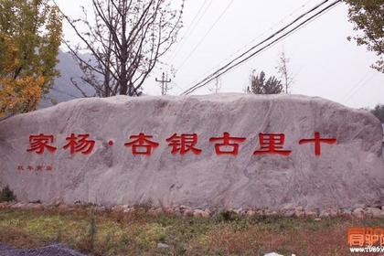 11月19日(周日)自驾拼车富阳杨家 银杏 休闲 摄影 踏秋一日游