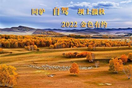 2023年9月20日起10日自驾青岛崂山、津门故里、坝上金色之约,跟拍万马奔腾 草原 长城休闲摄游约伴