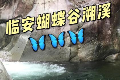 8月13日周日自驾临安蝴蝶谷 湿身激情一夏！ 野餐＼潜水＼游泳＼水战