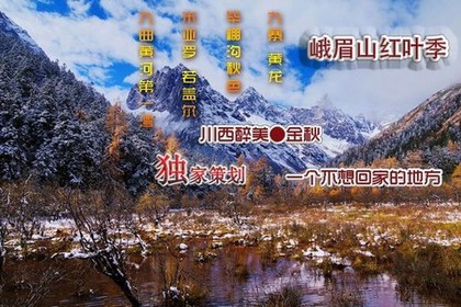 10月10-17日 避峰出游—峨眉山红叶季—川西醉美五彩金秋—九寨黄龙 毕棚沟 若尔盖 花湖 
