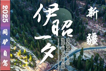 2025年7月19日起 VIP小车团新疆伊昭公路+S101国防公路+独库公路 8日