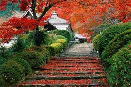 2018年1月1日 元旦 登高节节高 辞旧迎新年年新 大明山冬季风景等你赏!(特价88元/人)