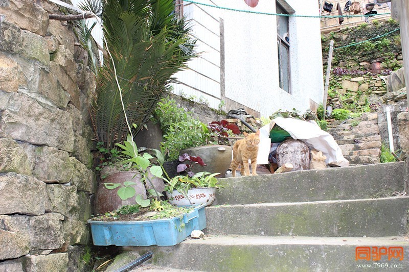 IMG_4095_副本.jpg IMG_4095_副本.jpg