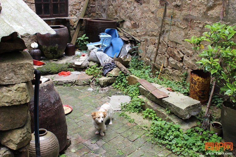 IMG_4096_副本.jpg IMG_4096_副本.jpg