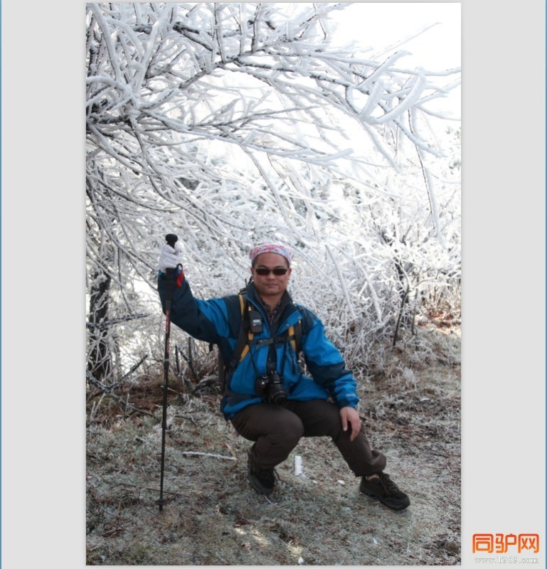 大青虫帅锅有点酷