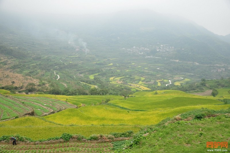 4梯田炊烟.jpg