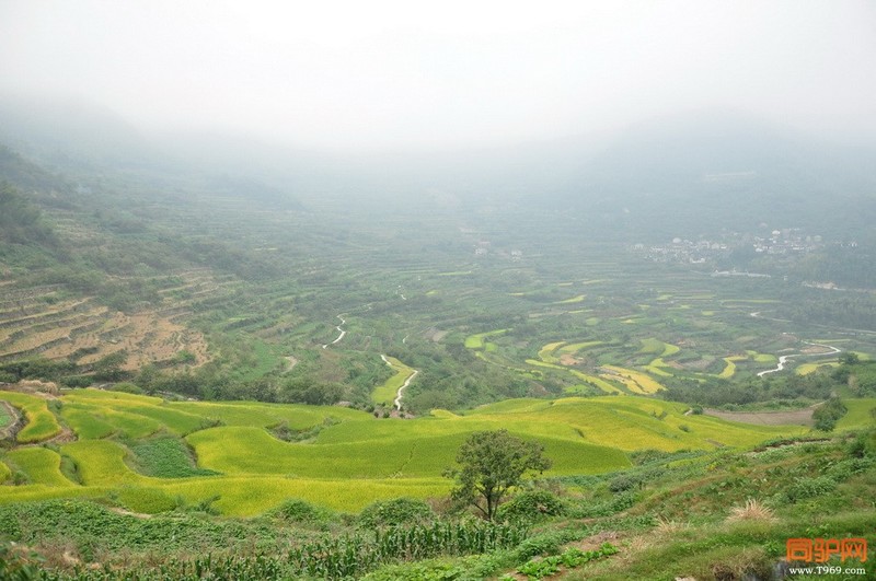 3千年梯田1.jpg