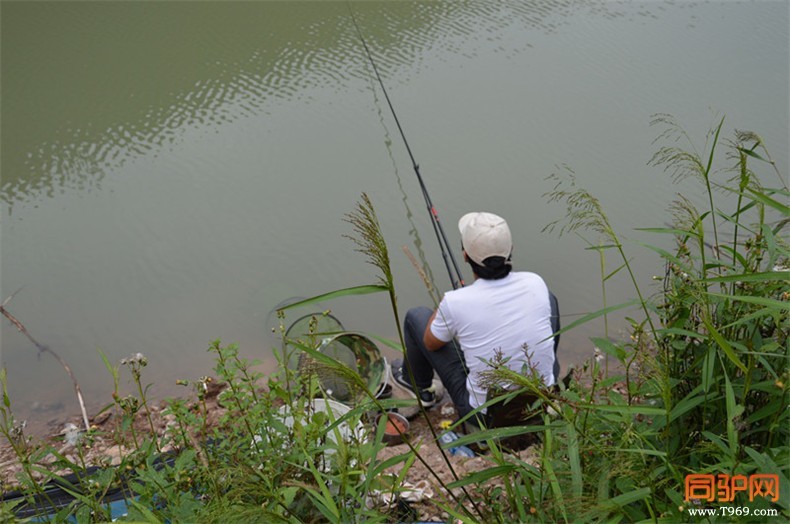 一位在水库钓鱼的大哥，听说2个小时钓了5斤，强的