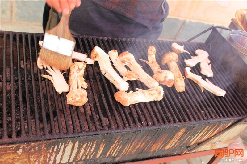 从藏民手里手来的松茸，直接就在旁边的烧烤摊上烤上了，在“兹兹”的碳烤声里，香味就这样拐着弯的转进鼻子 ...