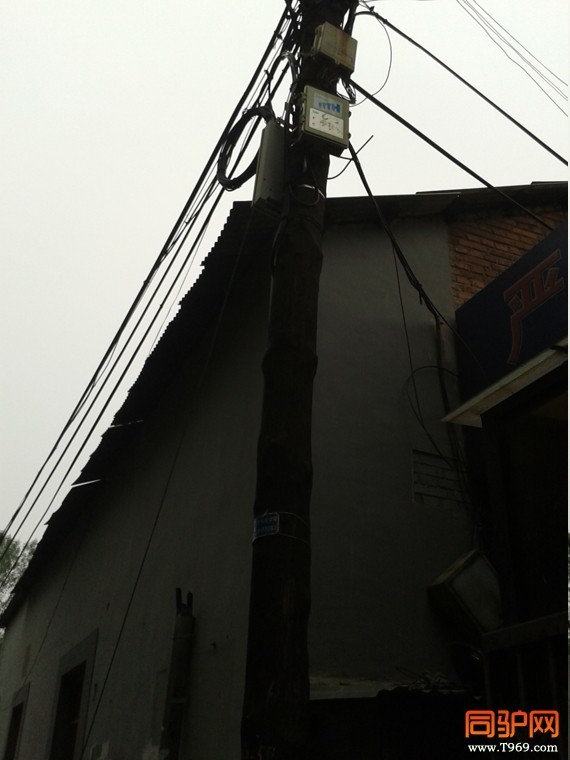 老电线杆.jpg