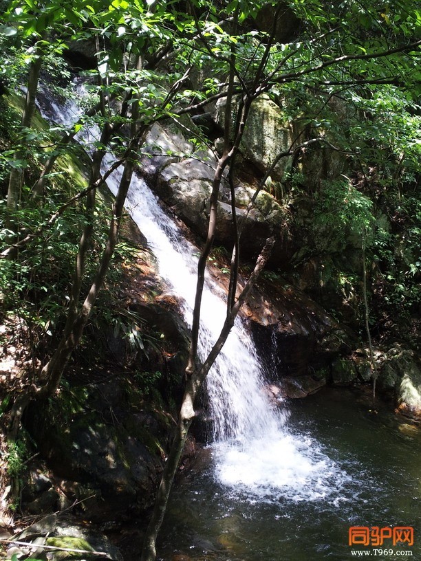 林间飞瀑，虽然没五泄的壮观，却别有一番风味。