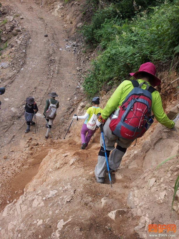 下山的路连向导都找了好久，终于走上了康庄大道。