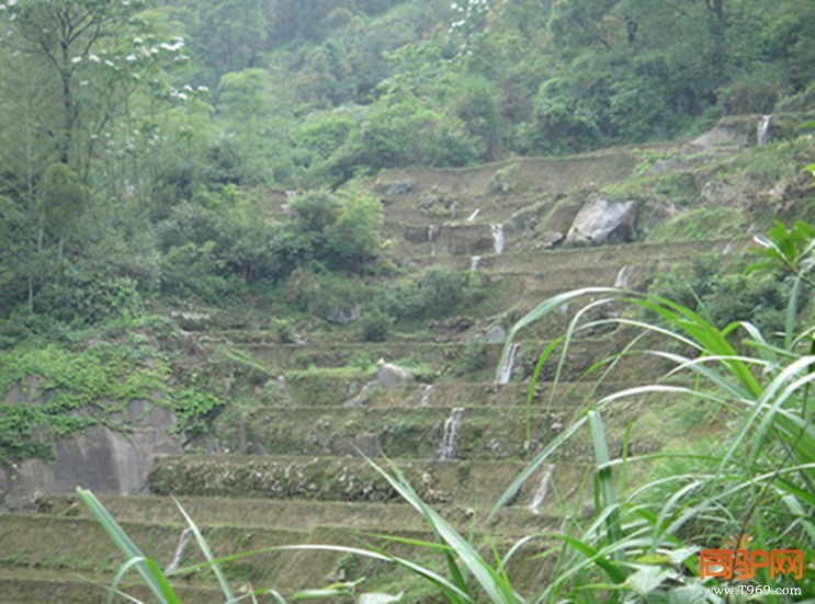 流水梯田.jpg