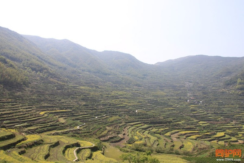 千年梯田.jpg