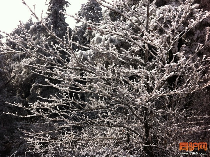 北山 033_调整大小.jpg