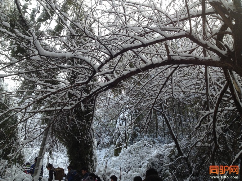 IMG_1508.jpg IMG_1508.jpg