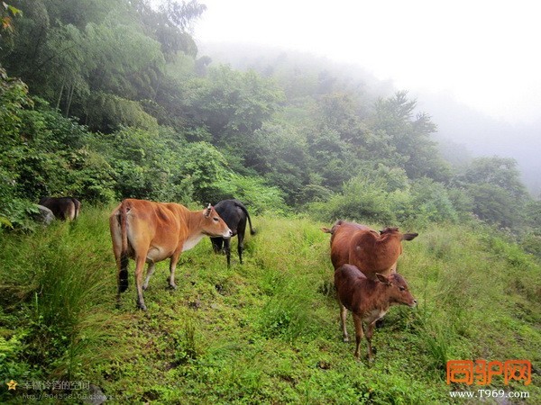 psb (1)_调整大小.jpg