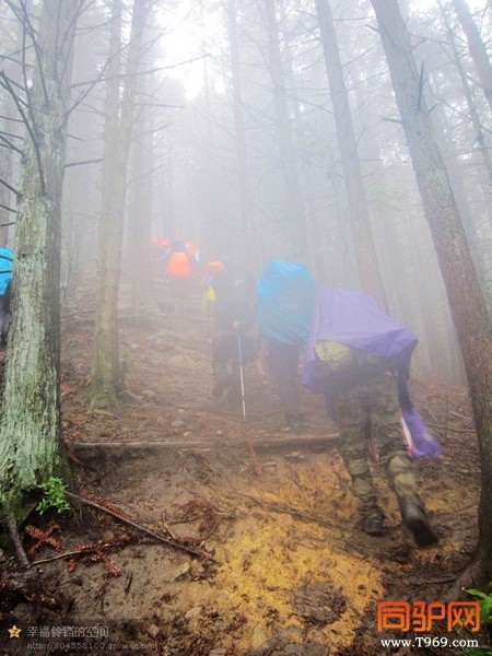 psb (100)_调整大小.jpg