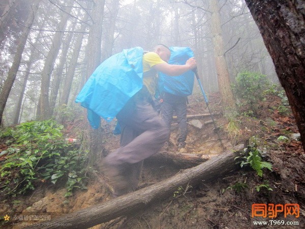 psb (5)_调整大小.jpg