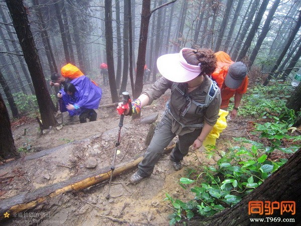 psb (6)_调整大小.jpg