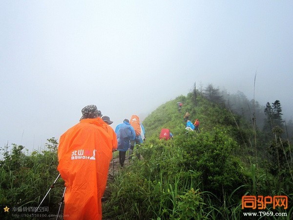 psb (7)_调整大小.jpg