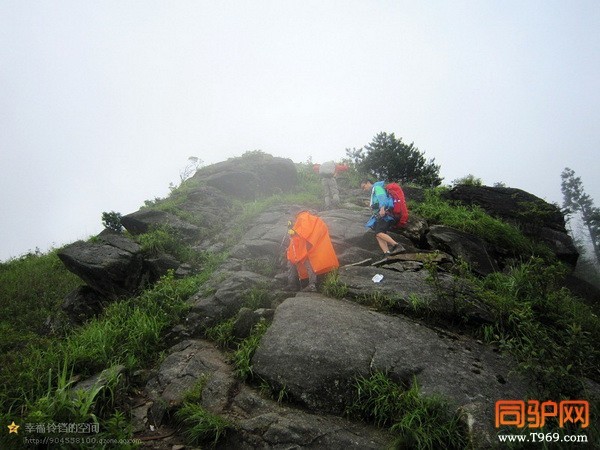 psb (8)_调整大小.jpg