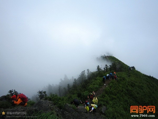 psb (10)_调整大小.jpg