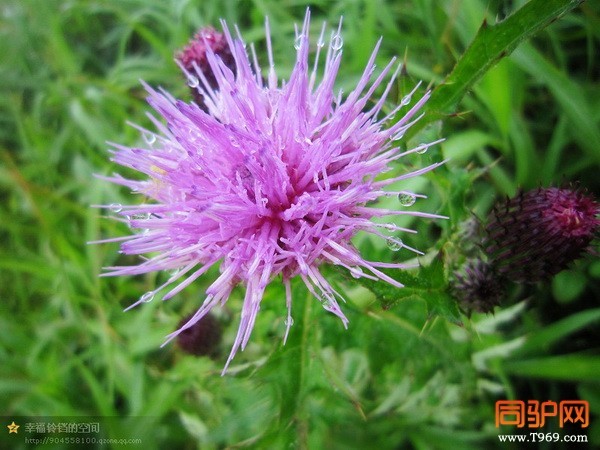 psb (18)_调整大小.jpg