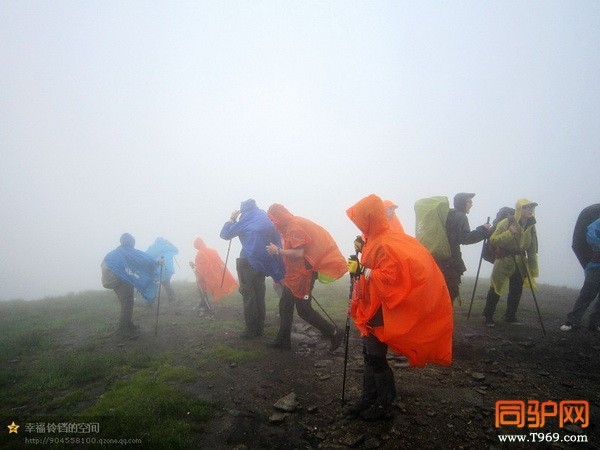 psb (20)_调整大小.jpg