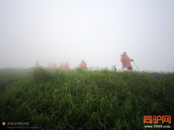 psb (50)_调整大小.jpg