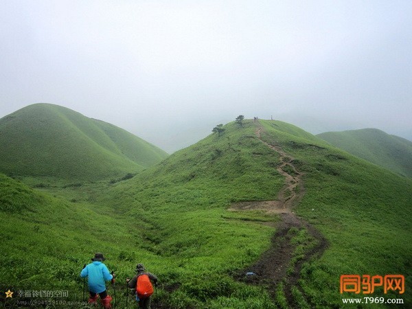 psb (66)_调整大小.jpg