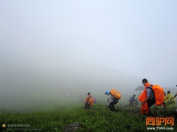 psb (65)_调整大小.jpg