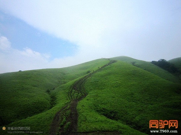 psb (68)_调整大小.jpg