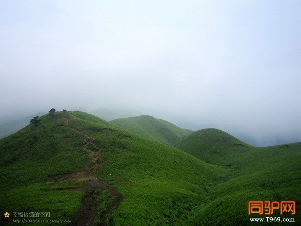 psb (67)_调整大小.jpg