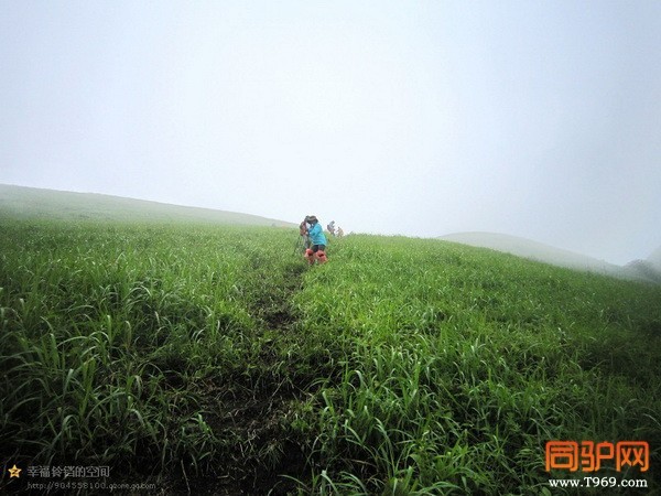 psb (77)_调整大小.jpg