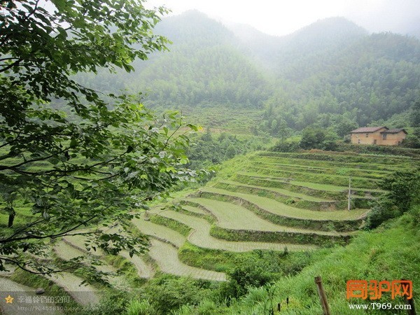 psb (89)_调整大小.jpg