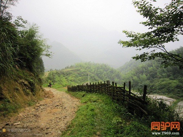 psb (90)_调整大小.jpg