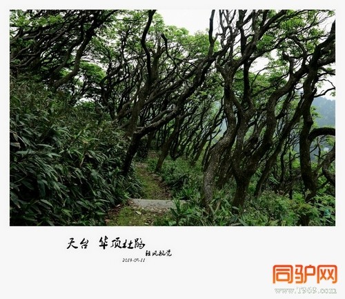 399A7330.jpg 399A7330.jpg