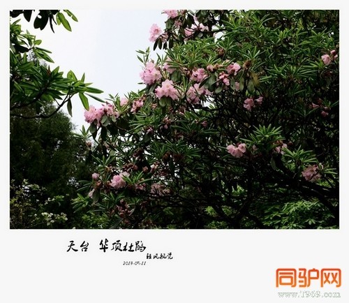 399A7331.jpg 399A7331.jpg