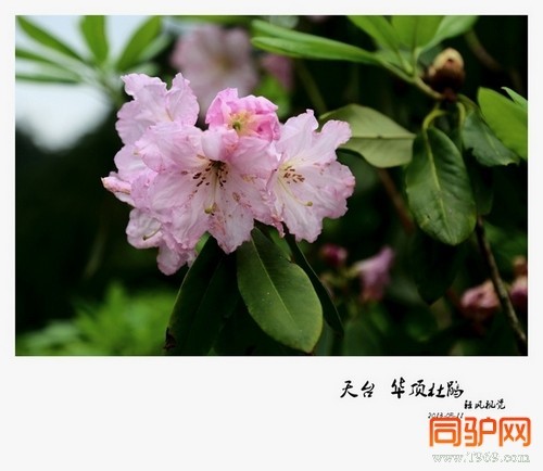 399A7353.jpg 399A7353.jpg