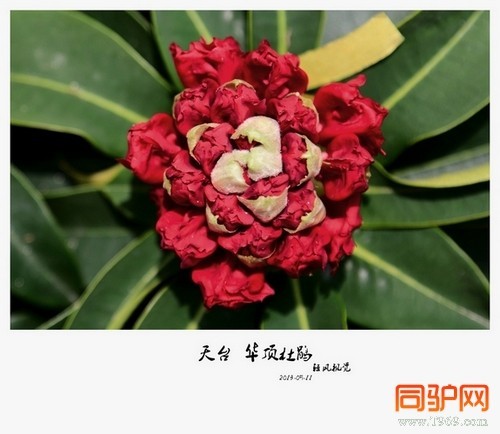 399A7365.jpg 399A7365.jpg