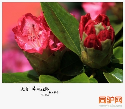 399A7387.jpg 399A7387.jpg