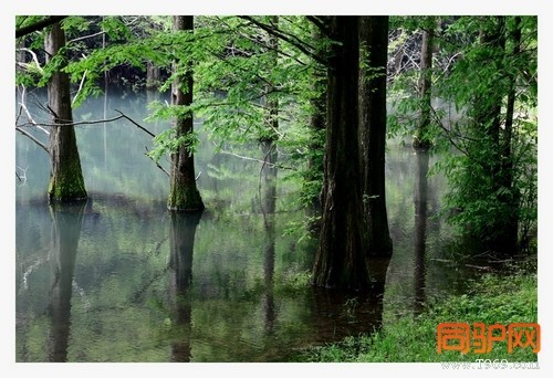 399A7390.jpg 399A7390.jpg