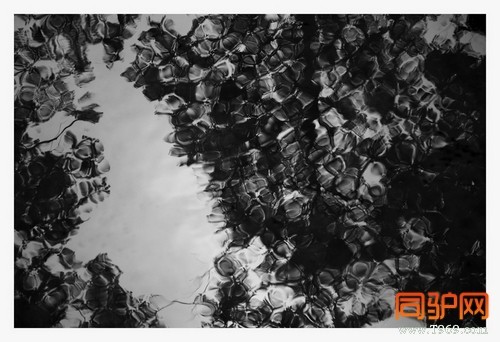 399A7399.jpg 399A7399.jpg